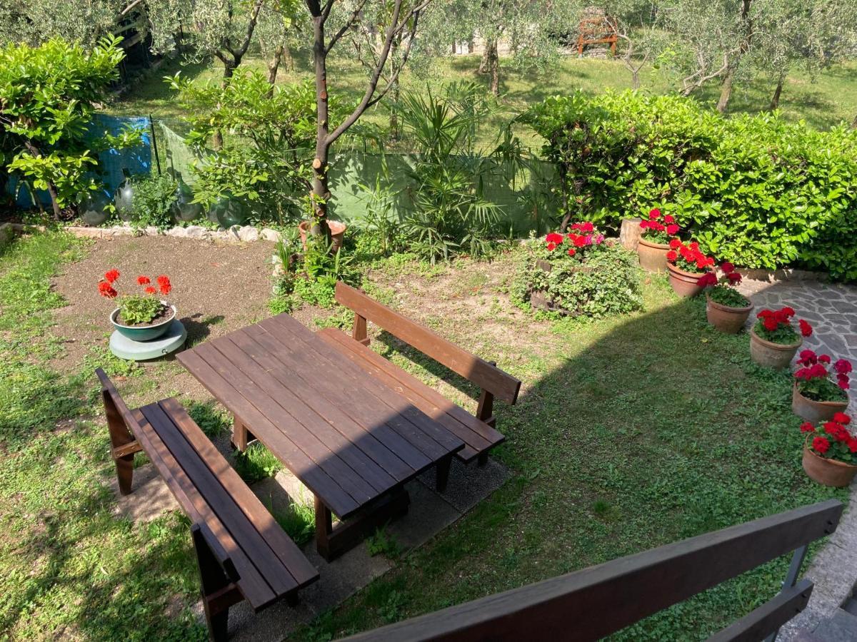 Apartments Panoramica 马尔切西内 外观 照片